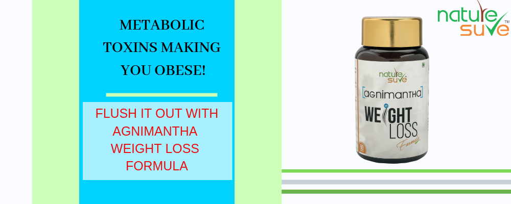 Are metabolic toxins making you obese? Agnimantha can help flush them out!