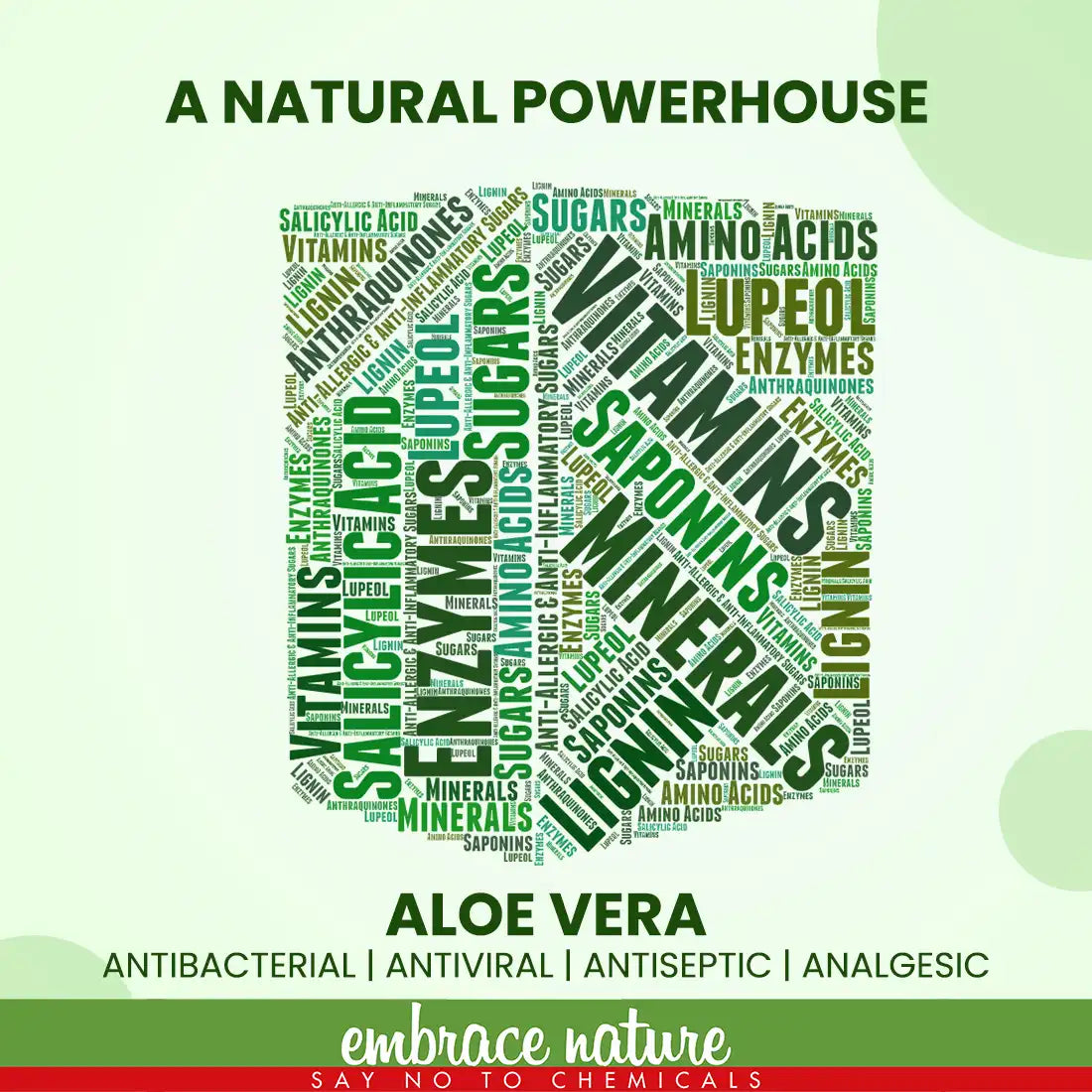 Nature Sure Aloe Vera Leaf Powder 200g with Rose Water 50ml