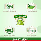 Nature Sure Amla Berry Powder For Skin, Hair and Gut Health - 100g