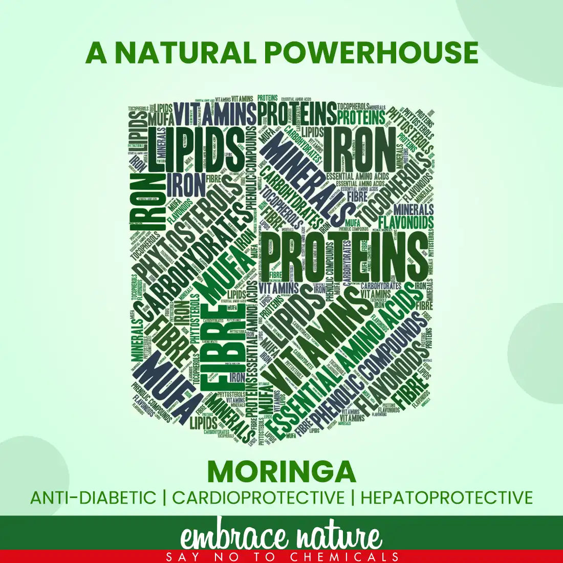 Nature Sure Moringa Leaf Atta Mix Powder 200g with Raw Honey 50g