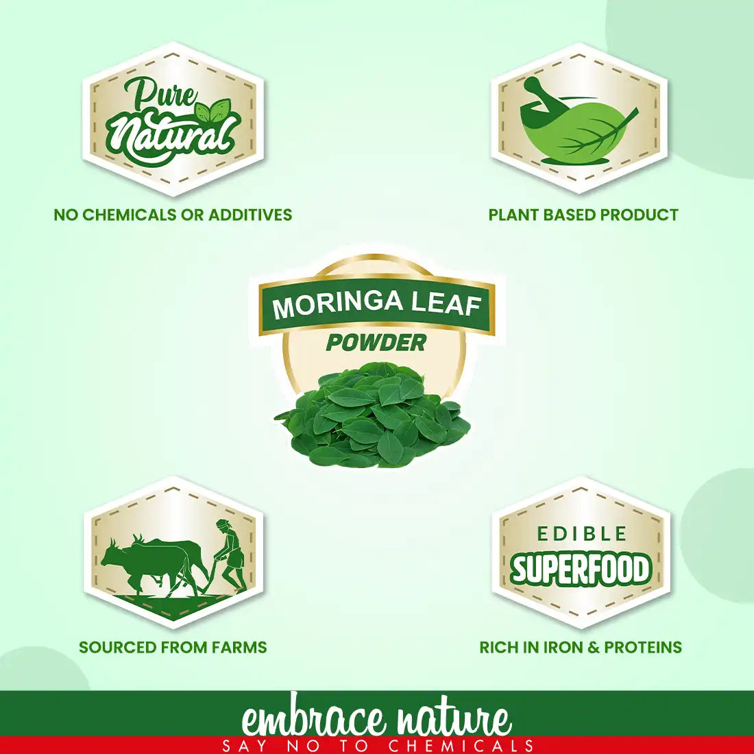 Nature Sure Moringa Leaf Atta Mix Powder 200g with Raw Honey 50g