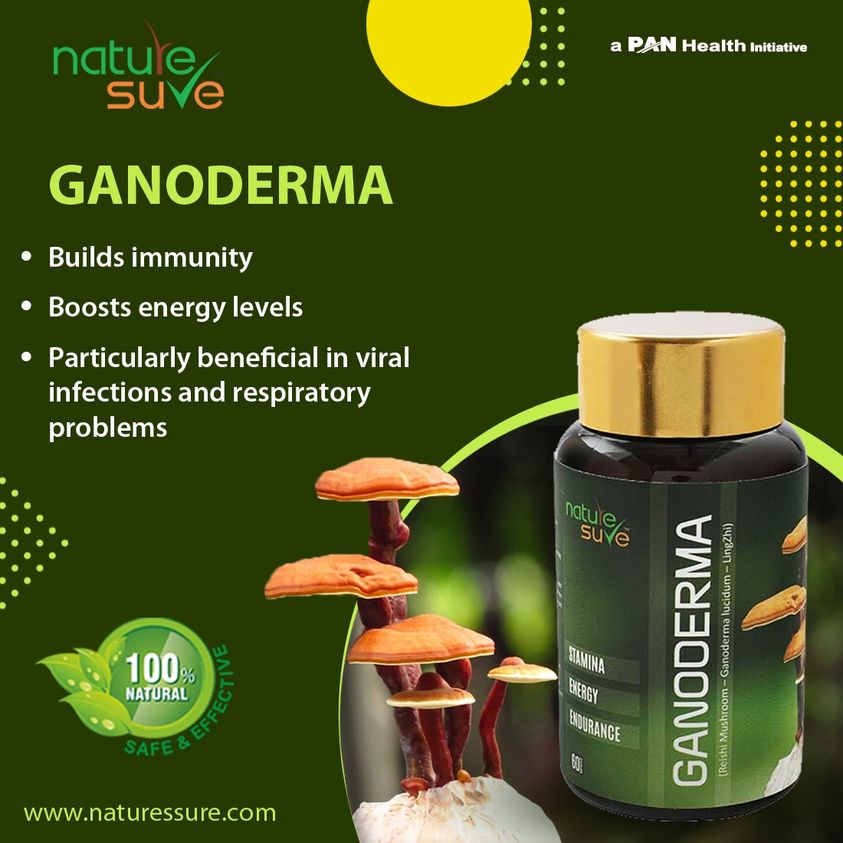 Nature Sure Ganoderma Ling Zhi Reishi Mushroom Capsules for Immunity