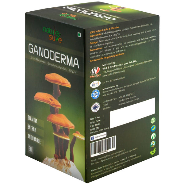 Nature Sure Ganoderma Ling Zhi Reishi Mushroom Capsules for Immunity